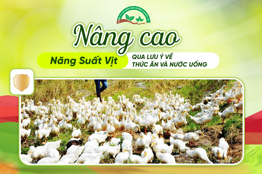 Thức ăn chăn nuôi