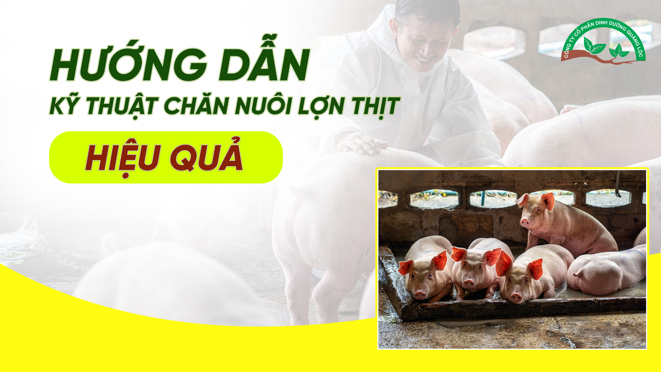 CHĂN NUÔI LỢN THỊT